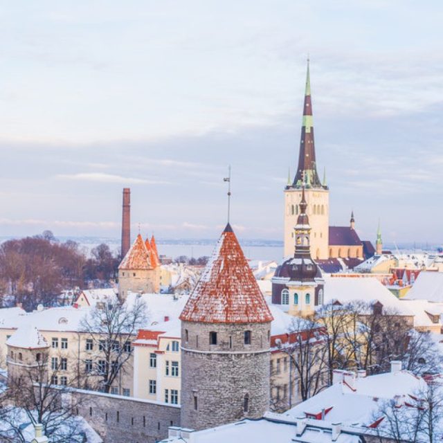https://digitalsolutions99llc.com/wp-content/uploads/2025/04/estonia-1024x1024-1-640x640.jpg