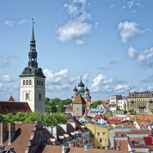 https://digitalsolutions99llc.com/wp-content/uploads/2025/04/estonia123-1024x1024-1-640x640.jpg